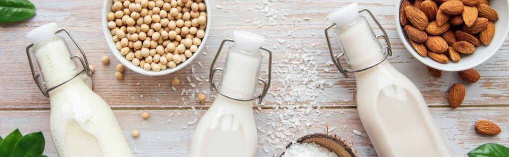 Leche de vaca vs bebida vegetal: ¿cuál es mejor?