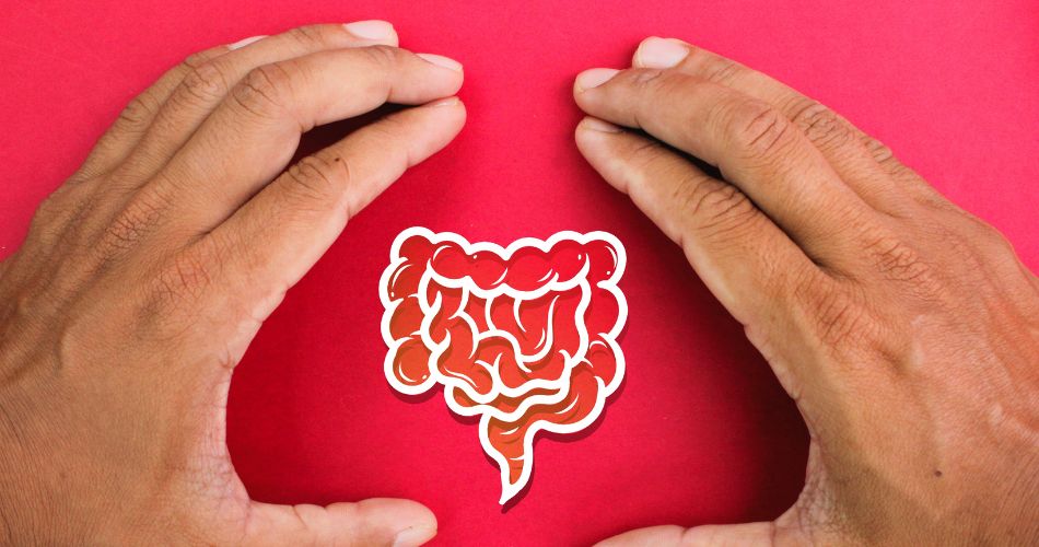 Microbiota intestinal: somos lo que comemos